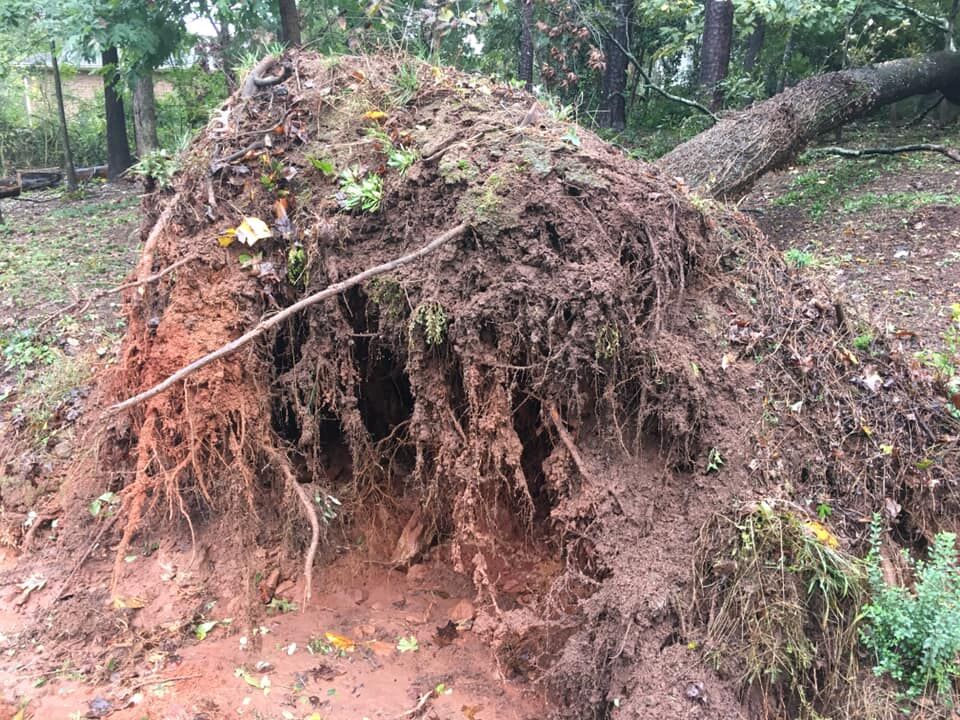Tropical_Storm_Zeta17.jpg